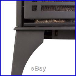 23.5 in. Dual Fuel Stove Vent Free Gas Propane Freestanding Thermostat Heater