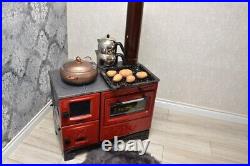 Cast iron stove with oven that can burn wood and coal