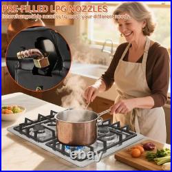 Efficient 4 Burner Gas Stove with NG/LPG Kit